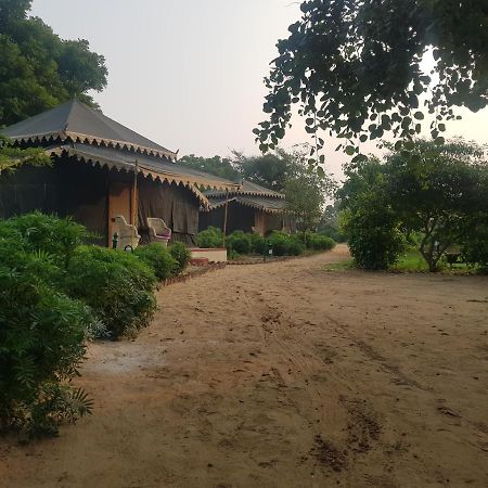 Orchard Tents & Tranquility Pushkar Extérieur photo