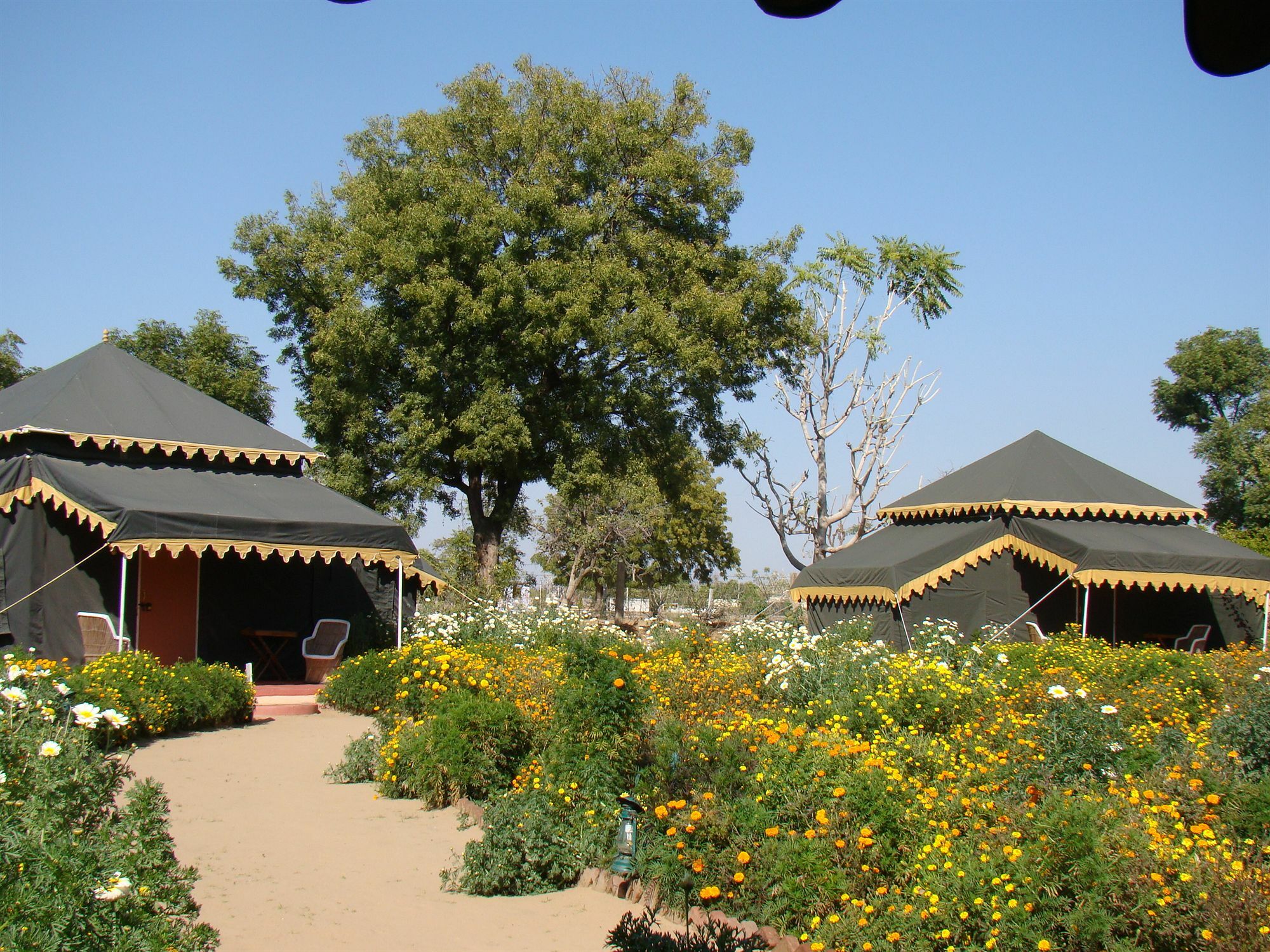 Orchard Tents & Tranquility Pushkar Extérieur photo