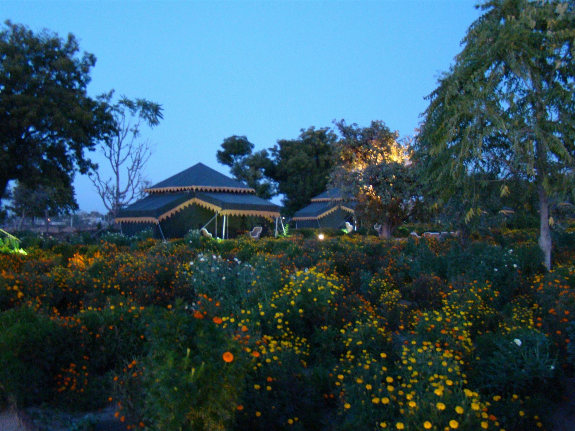 Orchard Tents & Tranquility Pushkar Extérieur photo