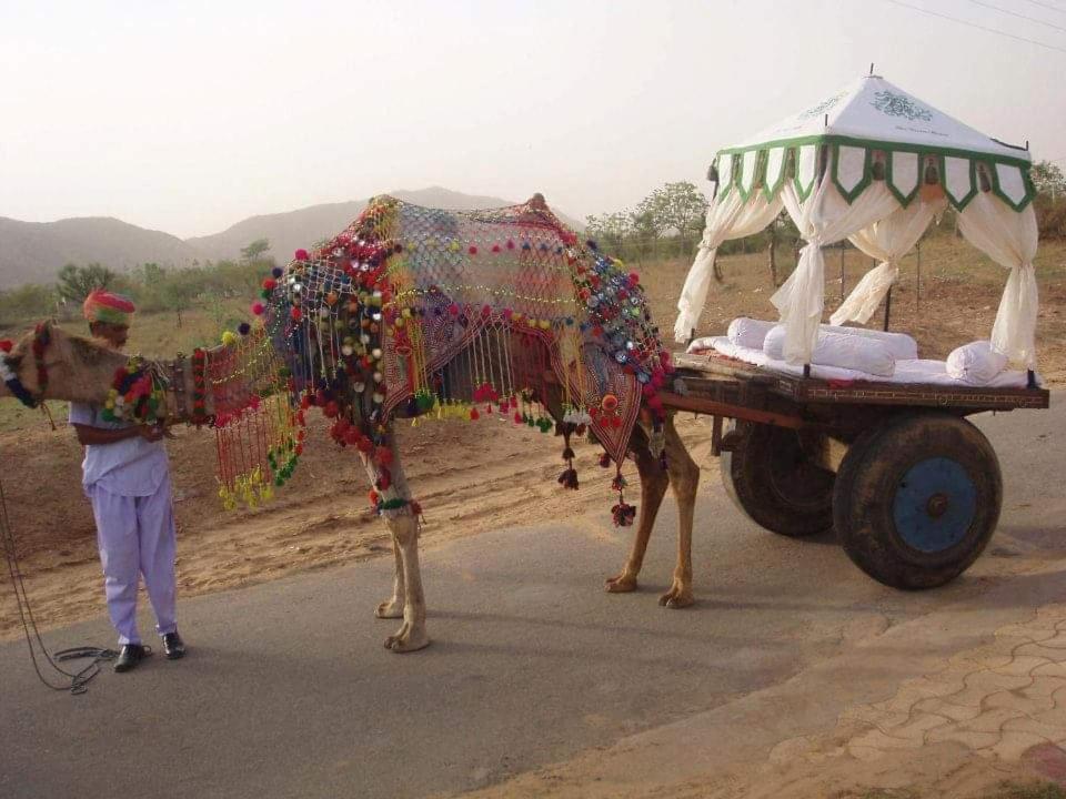 Orchard Tents & Tranquility Pushkar Extérieur photo