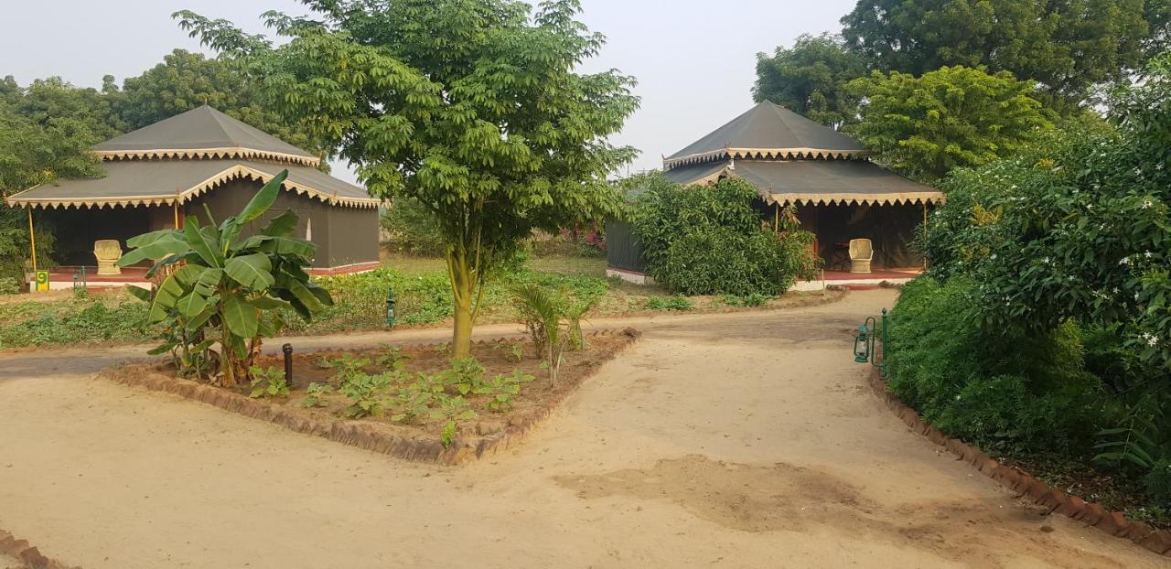 Orchard Tents & Tranquility Pushkar Extérieur photo