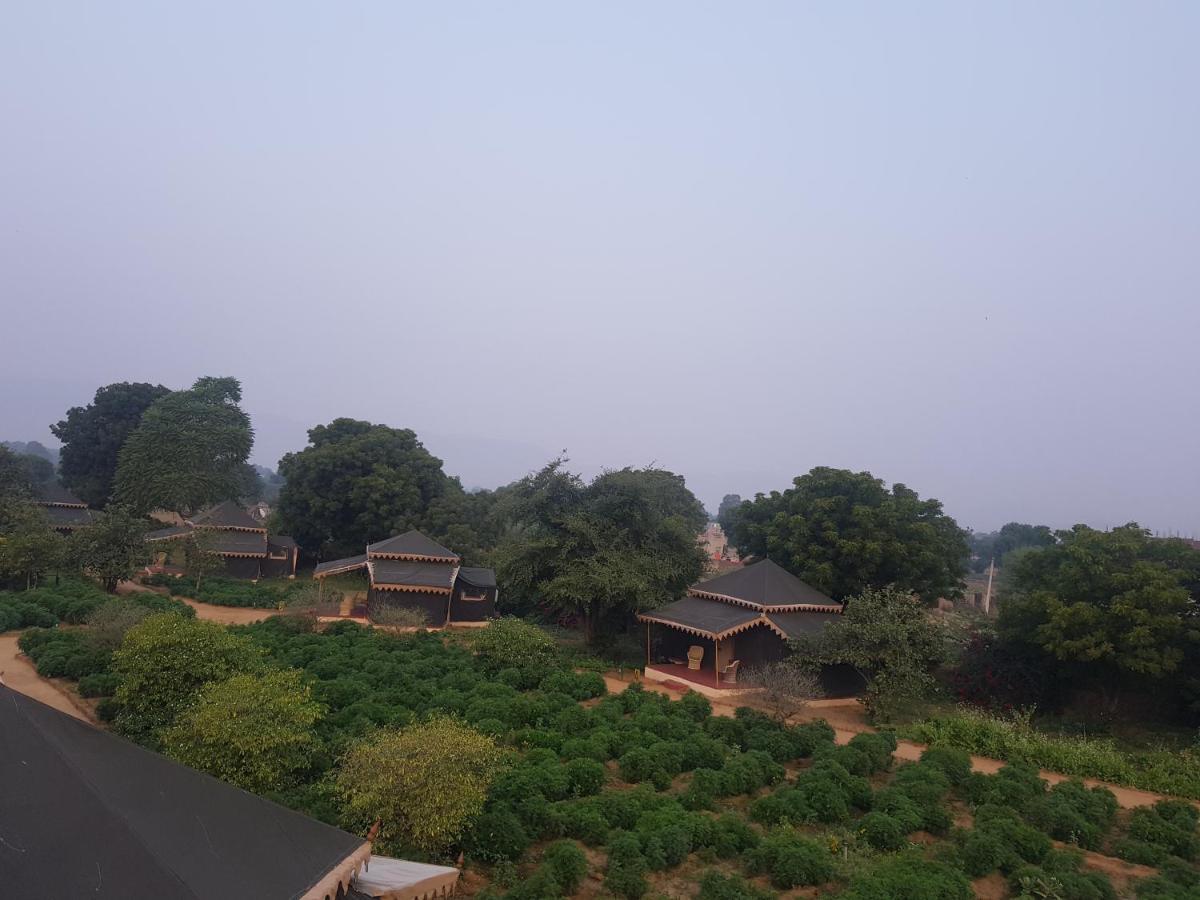 Orchard Tents & Tranquility Pushkar Extérieur photo