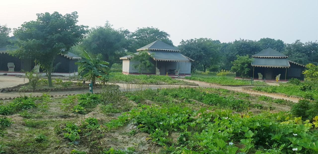 Orchard Tents & Tranquility Pushkar Extérieur photo
