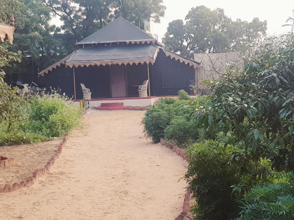 Orchard Tents & Tranquility Pushkar Extérieur photo