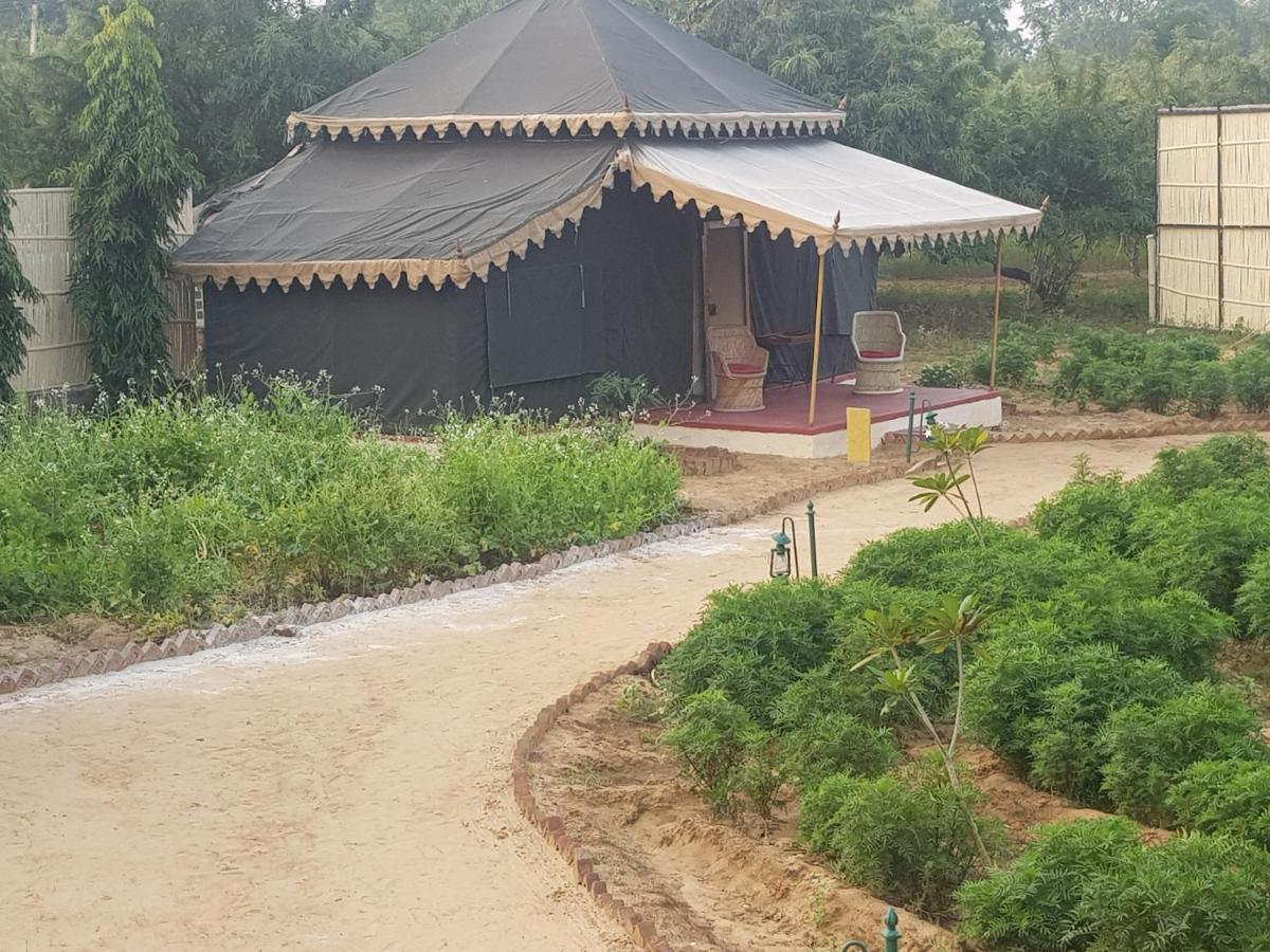 Orchard Tents & Tranquility Pushkar Extérieur photo