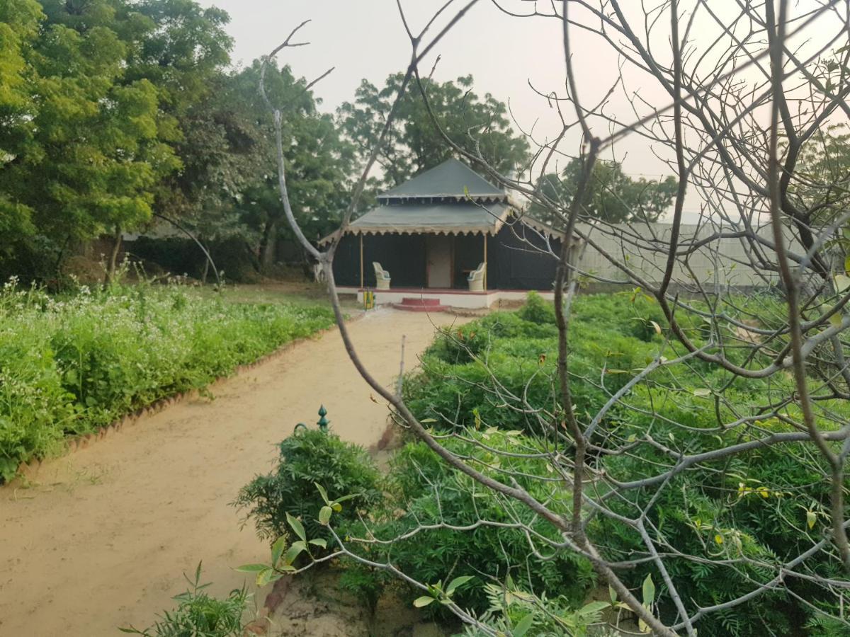 Orchard Tents & Tranquility Pushkar Extérieur photo