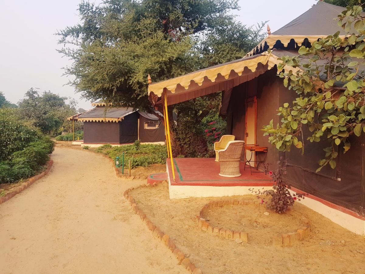 Orchard Tents & Tranquility Pushkar Extérieur photo