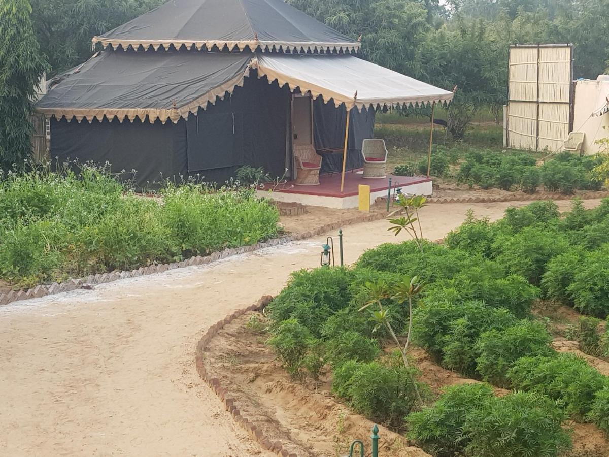 Orchard Tents & Tranquility Pushkar Extérieur photo