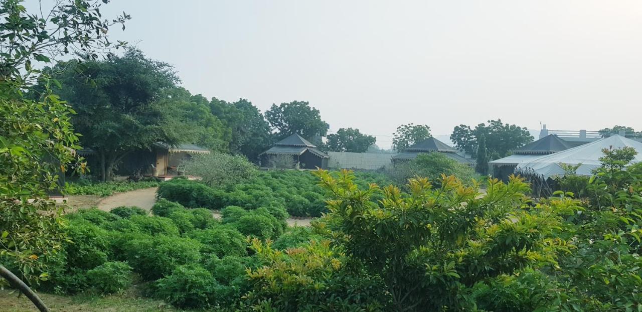 Orchard Tents & Tranquility Pushkar Extérieur photo