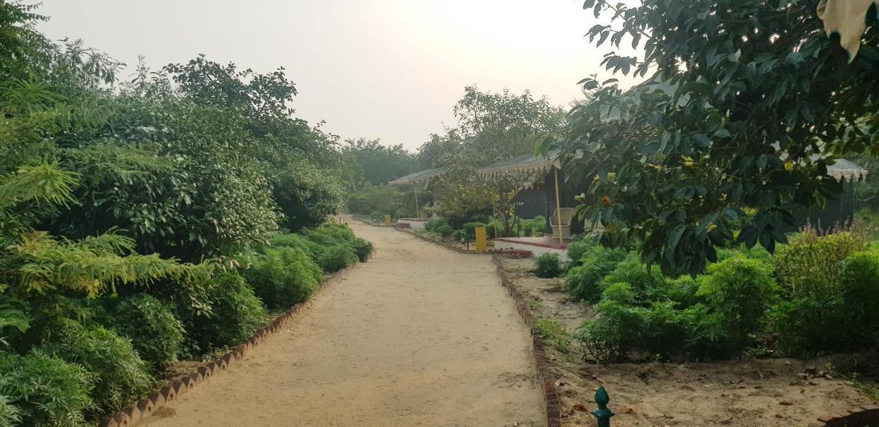 Orchard Tents & Tranquility Pushkar Extérieur photo