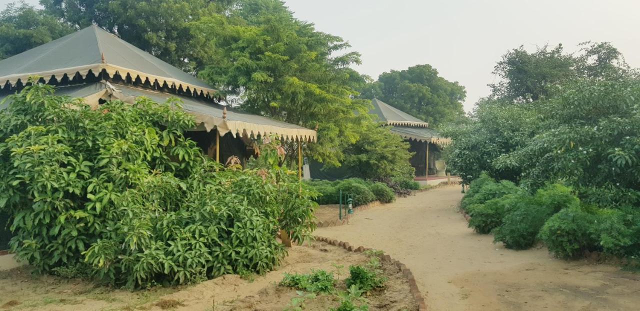 Orchard Tents & Tranquility Pushkar Extérieur photo