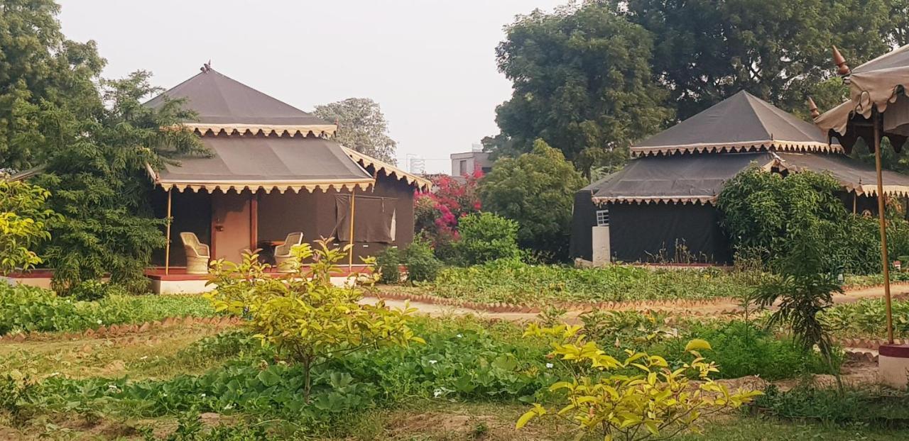 Orchard Tents & Tranquility Pushkar Extérieur photo