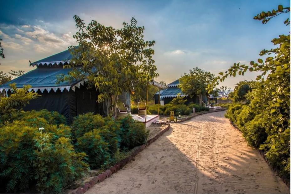 Orchard Tents & Tranquility Pushkar Extérieur photo